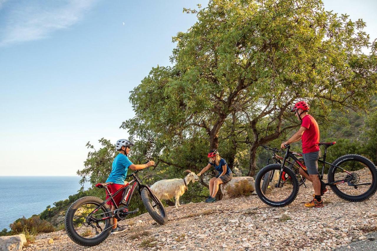 Bedbike Baunei Dış mekan fotoğraf